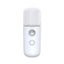 Portable Nano Mist Facial Steamer, USB Rechargeable Moisturizing Sprayer & Humidifier for Deep Hydration, Home Travel Skin Care