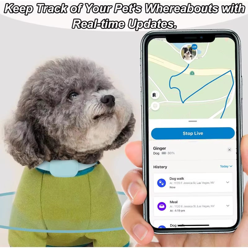 Pet Smart GPS Tracker Collar Pet Cat Dog Anti-Lost Locator Device Cats Dogs Global Tracking Device Compatible with Ios/Android