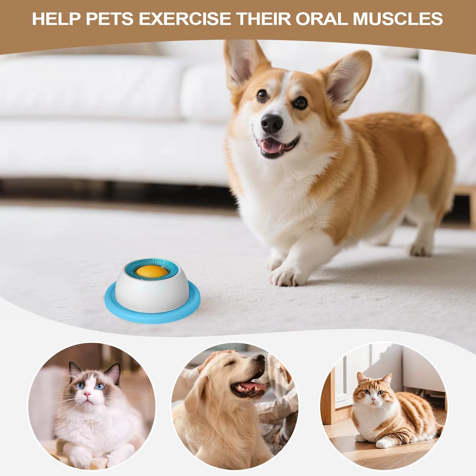 Pet Feeding Accessories Dog Treat Toy Puzzle Toys for Bored Puppy Slow Feeder Puppy Supplies for Healthy Eating Food Crate