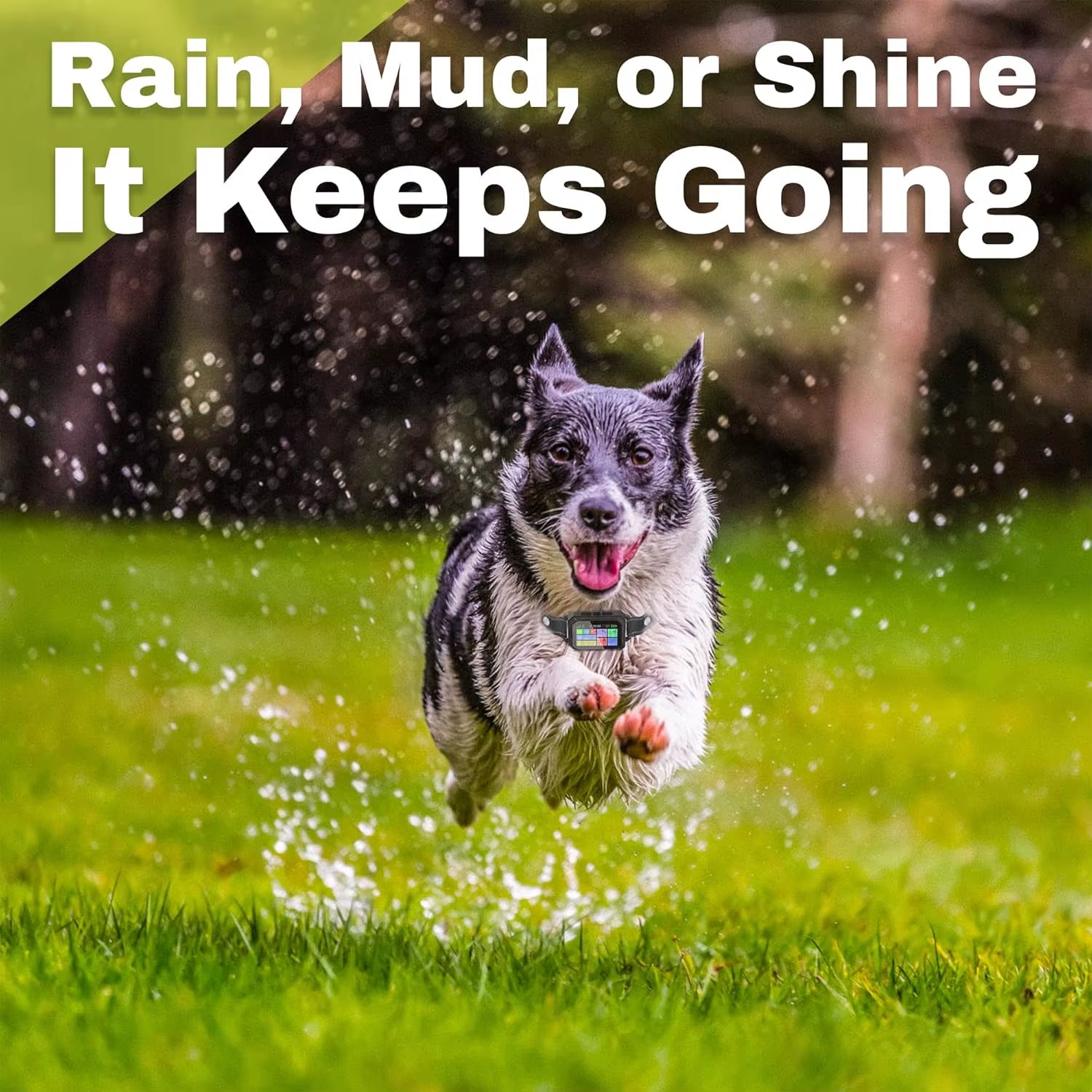 Customizable GPS Dog Collar Fence, Waterproof LCD, 6998 Ft Safe Zone, App-Controlled Wireless Pet Training Collar