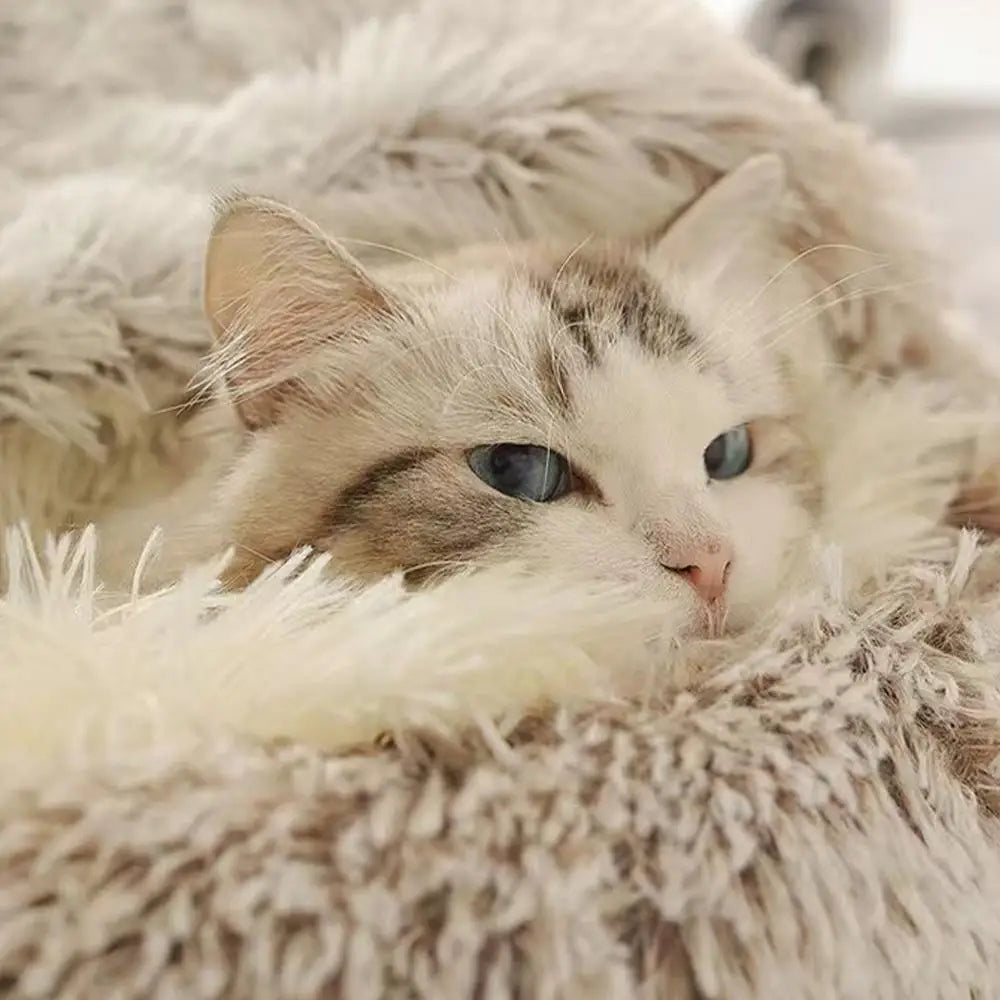 Winter Plush Round Cat Bed Pet Mattress Warm Soft Comfortable Basket Cat Dog 2 in 1 Sleeping Bag Nest for Small Dogs