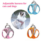 Cat Dog Toys for Aggressive Chewers Cats Dogs,Chew Squeak Toy Cats Dogs Interactive Plush Doll Pet Products