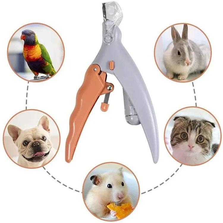 Professional Pet Nail Clipper Scissors With LED Light Cat Dog Nail Clippers Tool Scissors Nail Toeclaw Cutter Scissors Pet Suppl Imagem secundária do produto