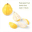 Kid Pretend Play Kitchen Fun Cutting Fruits and Vegetables Food Play House Set Puzzle Education Toys For Kids Boys Girls Gifts