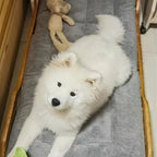 Oversized Plush Dog Cat Bed Sofa Crate Pad Ultra Soft Polyester Pet Mat for All Size Cats Dogs Adorable Rectangle Couch