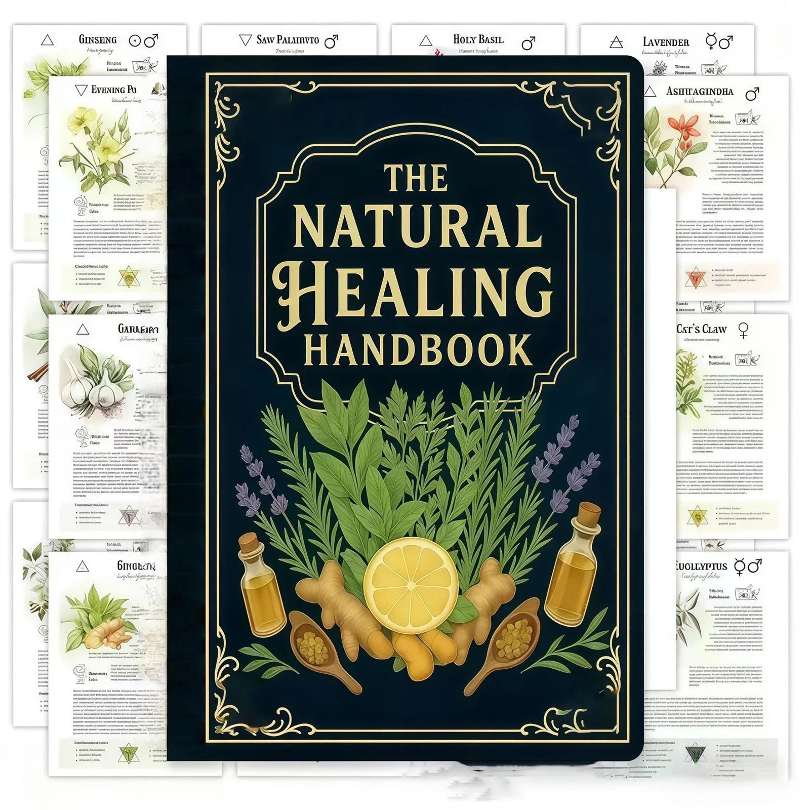 Step-by-Step Herbal Recipe Book for Natural Healing: Heart Health & Focus Guide. Spiral Bound Wellness Book, Healthy Gift Image secondaire du produit