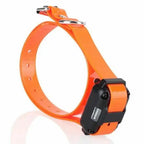 Only Electronic Collar Only Electronic Collar