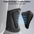 Back Brace for Lower Back Pain, Sciatica, Herniated Disc, Scoliosis, Back Support Belt with Soft Pad, Lightweight Lumbar Support