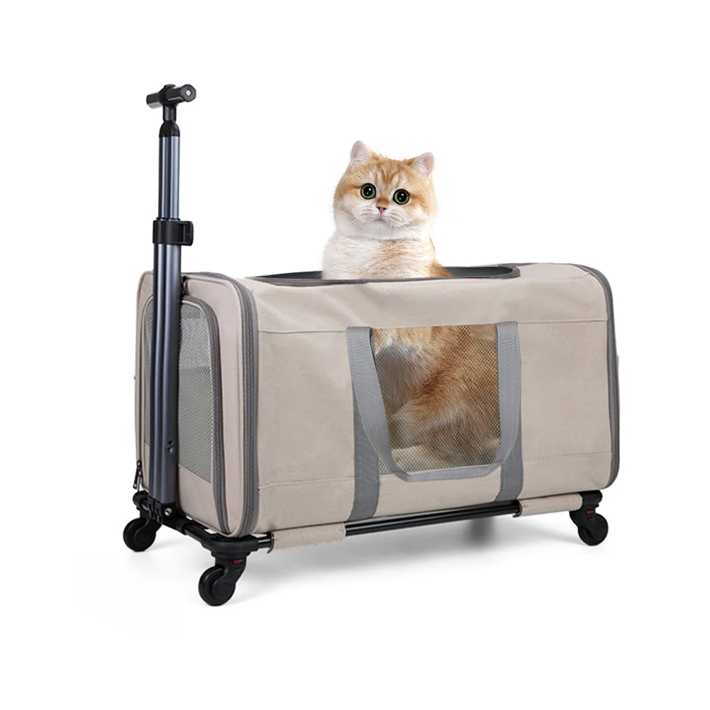 Cat trolley for 2 cats – Cat transport box large with wheels for 2 animals – Transport bag with wheels & safety belts for travel Imagen principal del producto