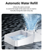 ROJECO 2In1 Automatic Pet Feeder Gravity Water Fountain 8.5L Button Version Auto Cat Kibble Dispenser with Water Refill Drinker