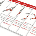 36pcs Fitness Cards Comprehensive Guide To Core Strength  Aerobic Training Exercises Guide Fitness Equipment Cards for Home Gym